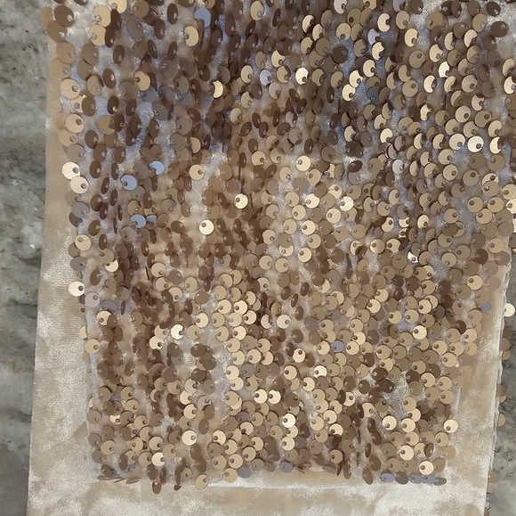 Midnight Velvet Bronze Cream Sequin Pull-On Pants – Stretch Waist, Medium - Picture 9 of 12